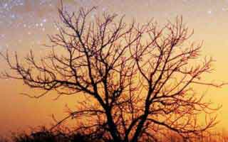 被99tk图库app诱导下载后怎么办？手机自检的3个步骤：最后一条一定要看