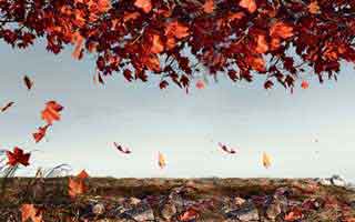 被99tk图库app诱导下载后怎么办？手机自检的3个步骤：最后一条一定要看