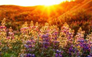 如果家人陷入澳门六合彩相关赌博，最有效的求助路径是这6步：别等出事才补救