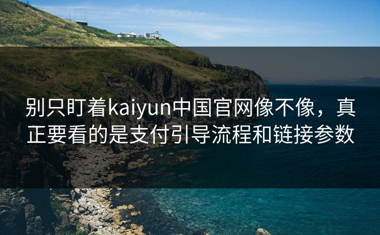 别只盯着kaiyun中国官网像不像，真正要看的是支付引导流程和链接参数