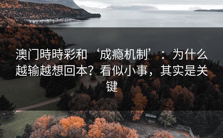 澳门時時彩和‘成瘾机制’：为什么越输越想回本？看似小事，其实是关键